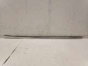 Zier-/Schutzleiste für Türscheibe MG MG ZS ()