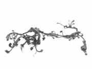 Kabelbaum TOYOTA C-HR (_X2_, _H2_) PHEV