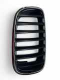 Kühlergrill rechts BMW X5 (E70) 7171396