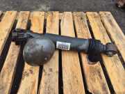 pneumatischer Stoßdämpfer hinten links