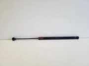 Heckklappe Gasdruckfeder rechts AUDI A5 (F53) S5 quattro 8T8827552B