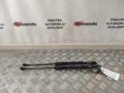 Heckklappendämpfer links Toyota Prius (W5) 689600W860