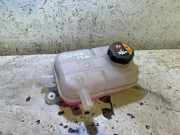 Ausgleichsbehälter HYUNDAI TUCSON (NX4E, NX4A) 1.6 T-GDi Hybrid 254R0P4500