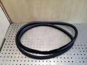 Türgummi rechts vorne Volvo S80 I (184)