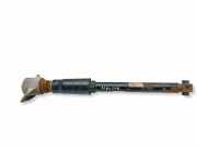 Stoßdämpfer hinten links AUDI A5 (F53) 2.0 TDI 8W0513035AD