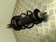 Stoßdämpferset NISSAN JUKE (F16) DIG-T 117 543031083R