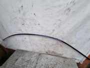 Dachleiste links BMW 7 (F01, F02) 730 d F01R4640R