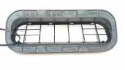 Ziergitter Lexus LS 3 (F3) 6293112230