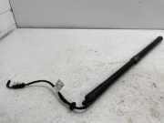 Heckklappe Gasdruckfeder links LAND ROVER RANGE ROVER SPORT II (L494) 3.0 D 4x4 C16896251