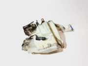 Fensterwaschtank FORD S-MAX 2.0 EcoBoost 6M2117B613AH 7S7117B613AE