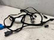 Kabelbaum Opel Grandland X (A18) XS2464806060