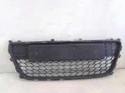 Vorderer oberer Gitter HYUNDAI i30 (FD) 1.6 CRDi