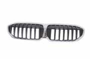 Vorderer oberer Gitter BMW 3 (G20, G28) 3 (G20) 318 d 7449432 7457041