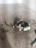 Schleifring Airbag Nissan Primera Traveller (WP12) 47945AS500