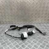 Türverkabelung hinten links