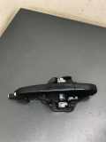 Türaußengriff hinten links LAND ROVER RANGE ROVER SPORT II (L494) 2.0 SD4 4x4 DK6224995EE