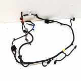 Kabelbaum KIA NIRO E-NIRO 91880-Q4070