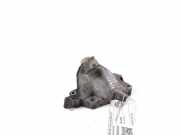 Lagerung für Motor Mercedes-Benz M-Klasse (W164) A6292230204