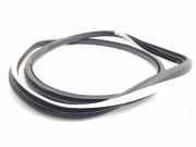 Türgummi rechts vorne Renault Espace V (JR)