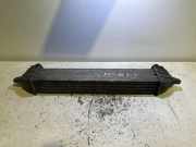 Ladeluftkühler FIAT DOBLO Cargo (223_) 1.3 JTD 16V Multijet 363042
