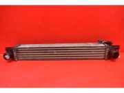 Ladeluftkühler Peugeot Bipper Tepee () 52003729