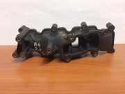 Ansaugbrücke AUDI A6 (4F2, C6) 3.0 TDI quattro 2900311189 #7142