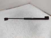 Gasfeder für Motorhaube Kia Sorento II (XM) 811813E010