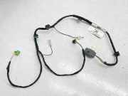 Kabelbaum LAND ROVER RANGE ROVER EVOQUE (L538) 2.0 D 4x4 BJ329137