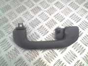 Dachgriff hinten rechts