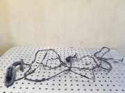 Türverkabelung hinten rechts BMW 5 (F10) 520 d 9240897 9240898