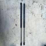 Heckklappe Gasdruckfeder links FIAT PUNTO (199_) 1.3 D Multijet 46744596