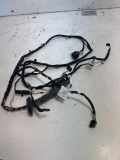 Kabel der vorderen linken Tür BMW X4 (F26) xDrive 30 d 8713154
