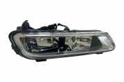 Nebelscheinwerfer links vorne VW Passat B7 (362) E269013