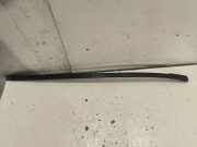 Zierleiste Windschutzscheibe Frontscheibe MERCEDES-BENZ E (W211) E 320 CDI (211.022) A2116901782