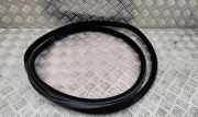 Dichtungsgummi der hinteren Tür (an der Karosserie) VOLVO V70 II (SW) 2.4 D5 AWD