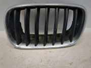 Gitter Grill vorne links BMW X5 (E70) 3.0 d 51137171395