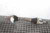 Antriebswelle vorne links MAZDA CX-5 (KE, GH) 2.2 D AWD