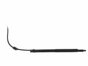 Heckklappendämpfer links Citroen C5 III Break (RW) 9687936080