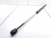 Heckklappendämpfer links Ford Focus Turnier (DNW) XS41N406A10AE