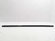 Türverkleidung rechts hinten Kia Carens II (FJ)