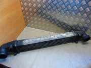 Ladeluftkühler MERCEDES-BENZ E T-Model (S211) E 320 T CDI (211.222) A2115003902