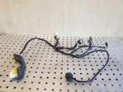 Türverkabelung hinten links CHEVROLET CAPTIVA (C100, C140) 2.2 D 4WD 20980134