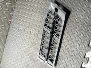 Gitter vorne unten BMW 6 Coupe (F13) 650 i 7172369