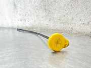 Wischwassertankhals OPEL VIVARO C VIVARO-E 24403930