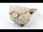 Behälter Scheibenwaschanlage BMW 3er Touring (E36) 616783607489