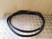 Türdichtung Toyota Corolla Verso (E12J1)