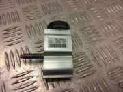 Expansionsventil für Klimaanlage Ford EcoSport () GN1119849CA