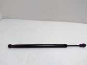 Heckklappe Gasdruckfeder rechts AUDI A4 (8W2, B9) 1.4 TFSI 8W5827919