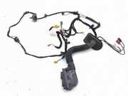 Kabel der vorderen linken Tür MERCEDES-BENZ GLC (C253) AMG 43 4-matic (253.364) A2055400249