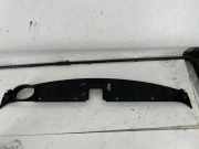 Vorderer oberer Gitter KIA SORENTO II (XM) 2.2 CRDi 863502P000